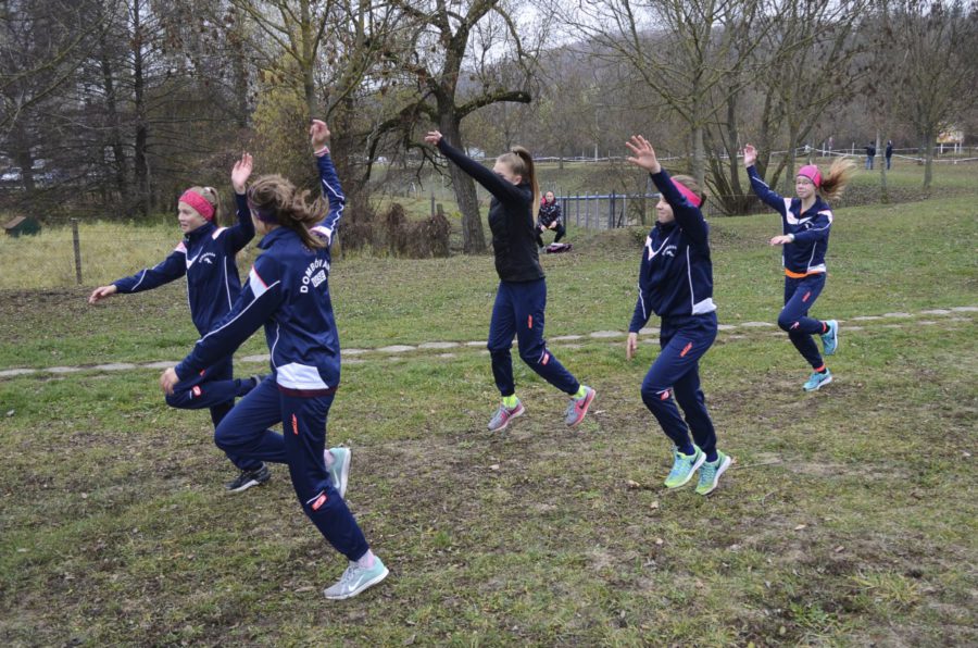 Mezei Liga 3. forduló – Salgótarján